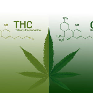 CBD vs. THC.